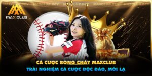 Cá cược bóng chày Maxclub - Trải nghiệm cá cược độc đáo, mới lạ