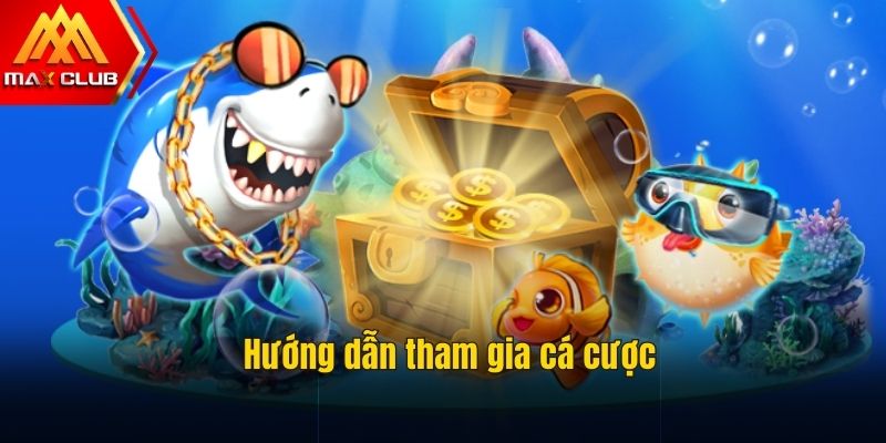 4 bước chơi cực cuốn cho thành viên