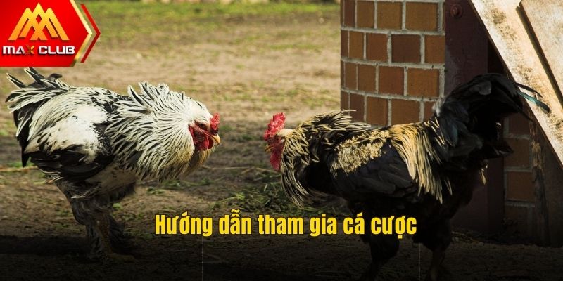 Tham gia nhanh cùng nhà cái đổi thưởng