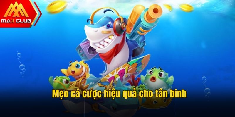 Mẹo chơi bắn cá cực hiệu quả