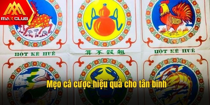 Mẹo quản lý vốn 1:10 đơn giản, dễ thực hiện