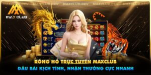 Rồng hổ trực tuyến Maxclub - Đấu bài kịch tính, nhận thưởng cực nhanh